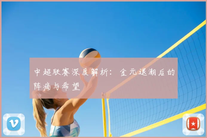 中超联赛深度解析:金元退潮后的阵痛与希望