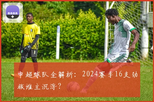 中超球队全解析：2024赛季16支劲旅谁主沉浮？